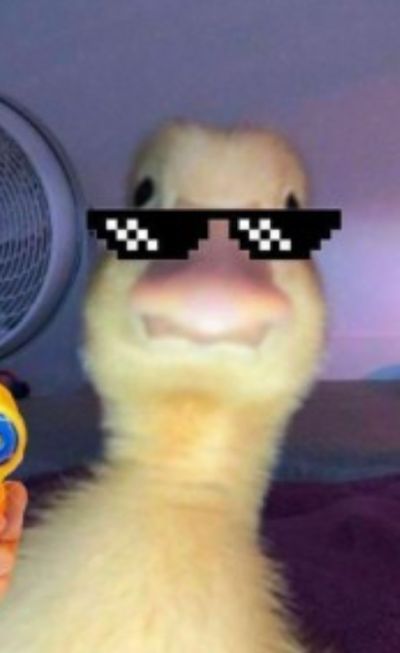 تصویر مسابقه