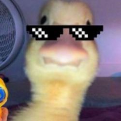 عکس اگه بال داشتم ....