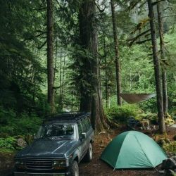 عکس باور ثابت شده