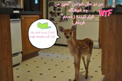 عکس