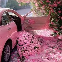 عکس مژده رسد به خانه ی من