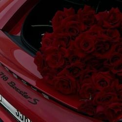 عکس برای اینکه به رویا هات بررسی چه برنامه ای داری