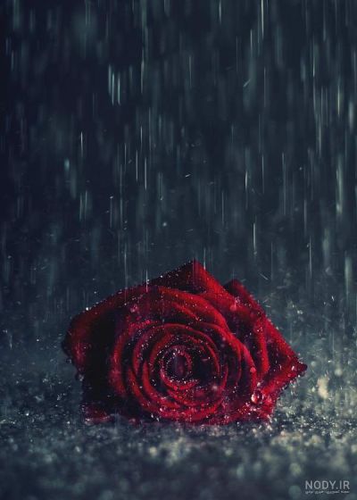 تصویر مسابقه