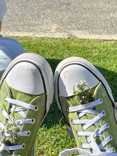 تصویر مسابقه