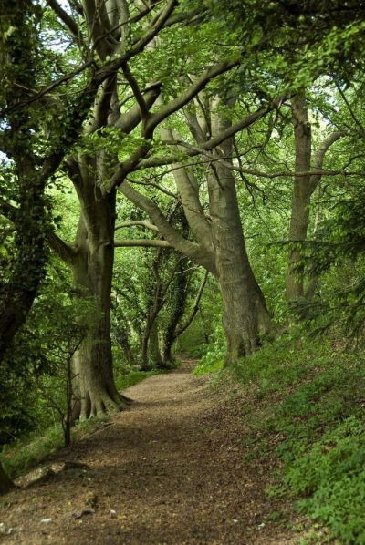 تصویر مسابقه