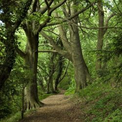 عکس اگه بهشت وجود داشته باشه حتما…