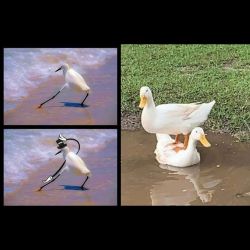 عکس خلاقیتت رو نشون بده