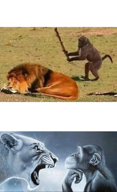 تصویر مسابقه