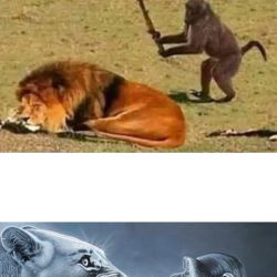 عکس ساخت میم!