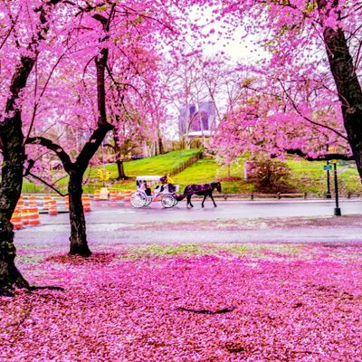 تصویر مسابقه