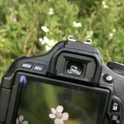 عکس تابستون؛