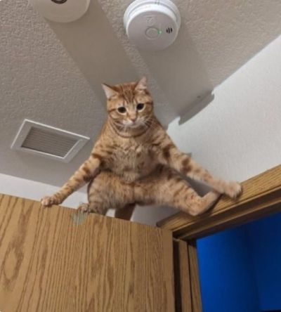 تصویر مسابقه