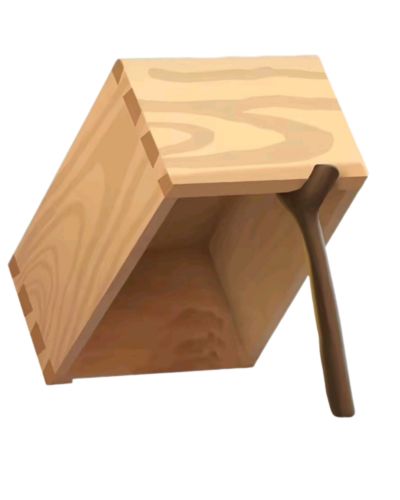 تصویر مسابقه