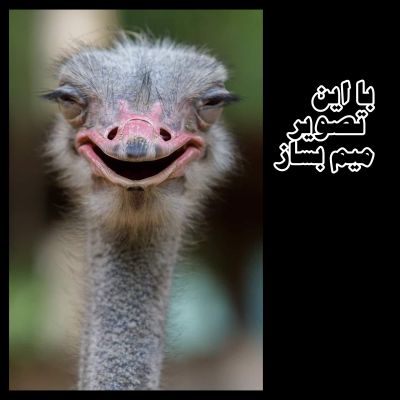 تصویر مسابقه