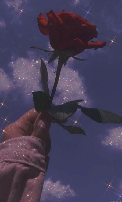تصویر مسابقه