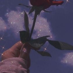 عکس اگه یه گل فروشی داشتم.....