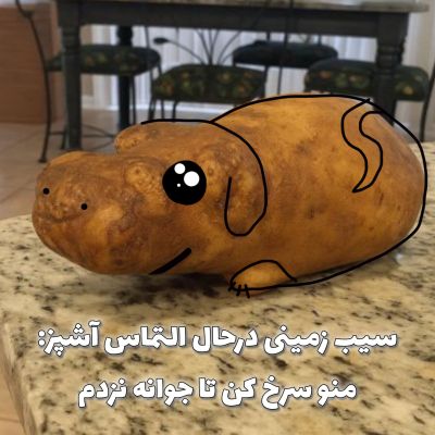 عکس