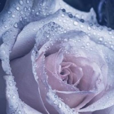 تصویر مسابقه