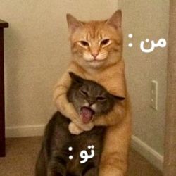 عکس میم بساز