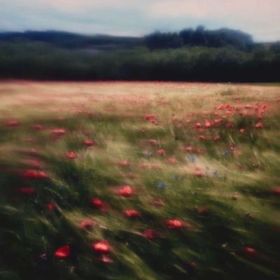 تصویر مسابقه