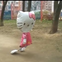 عکس میم بسازید