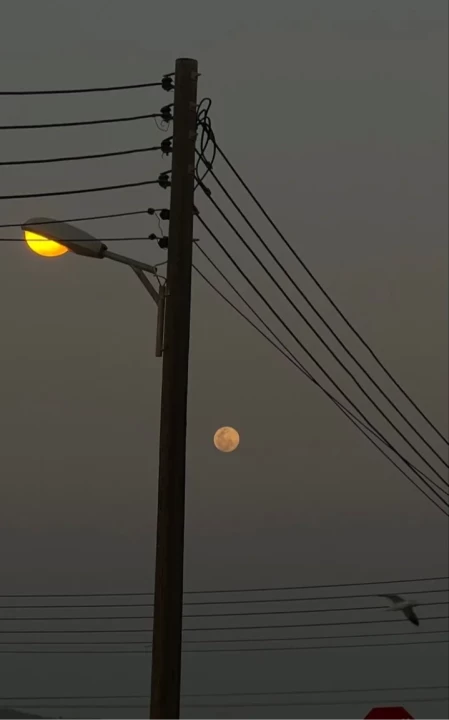 تصویر مسابقه
