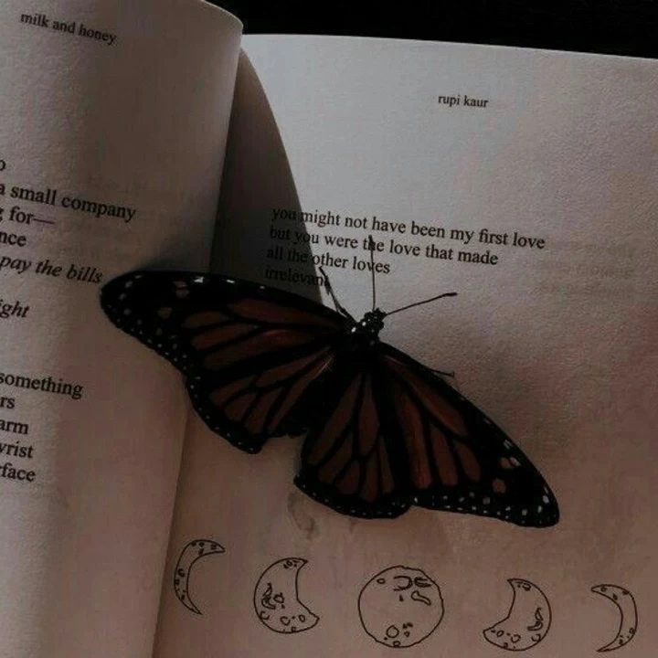 تصویر مسابقه