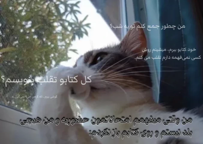عکس