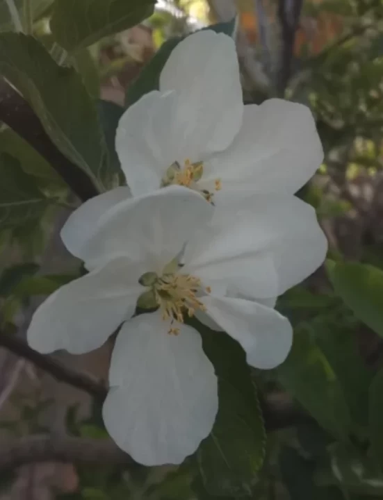 تصویر مسابقه