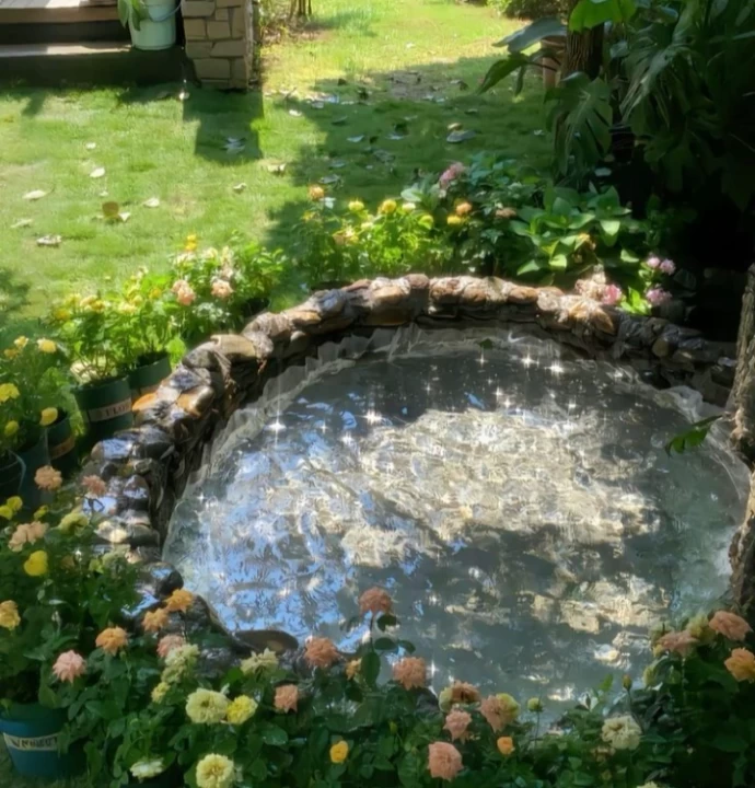 تصویر مسابقه