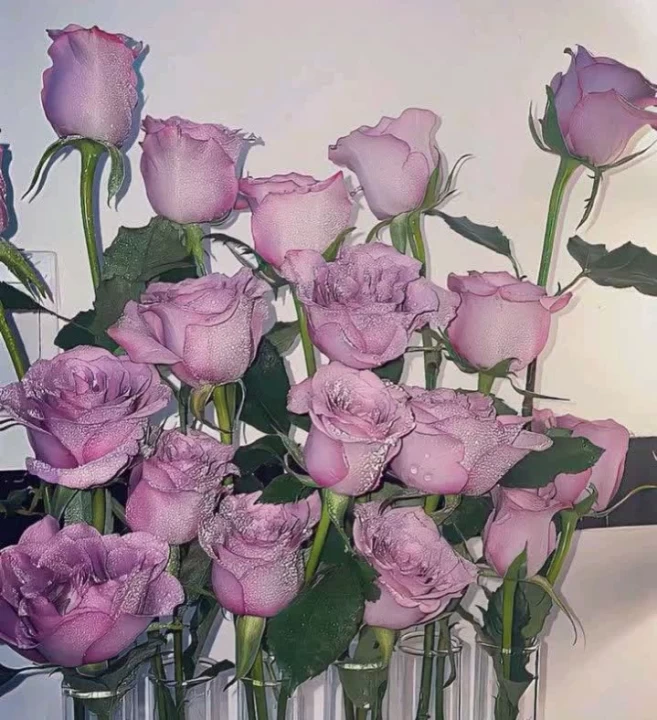 تصویر مسابقه