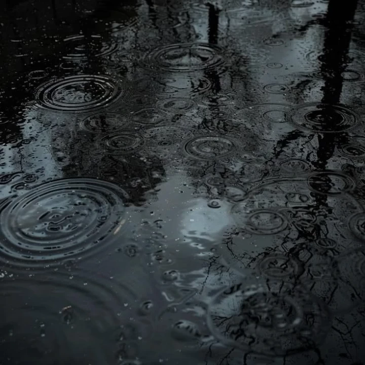 تصویر مسابقه