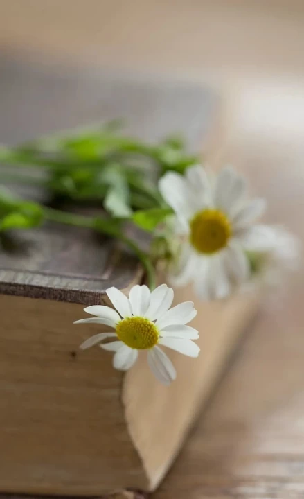 تصویر مسابقه