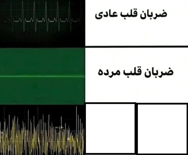 تصویر مسابقه