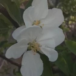 عکس از نظر تو یه روز عالی چه مشخصاتی داره؟