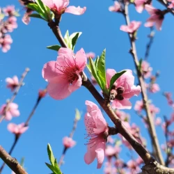 عکس دنیا رو چه رنگی می بینی؟