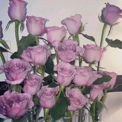 عکس اگه به گذشته بر می گشتی