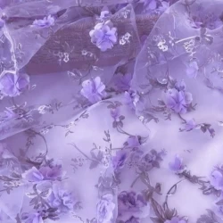 عکس مهم ترین شخص؟