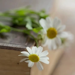 عکس بهترین کتابی که خوندی