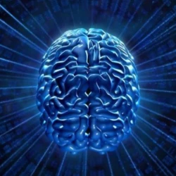 اگر میتوانستی یک روز صدای ذهن دیگران را بخوانی؟