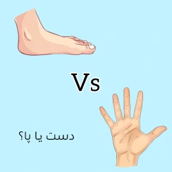 عکس دست یا پا؟