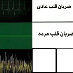 عکس با این عکس میم بسازید