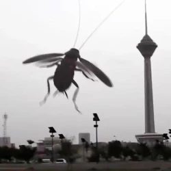 عکس فقط یک وسیله!