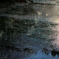 عکس گزینه