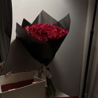 عکس گزینه