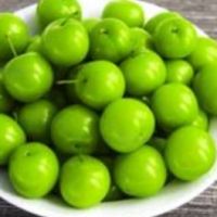 عکس گزینه