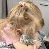 عکس گزینه