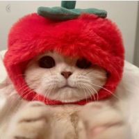 عکس گزینه