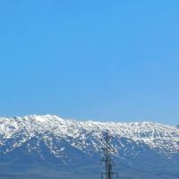 عکس گزینه