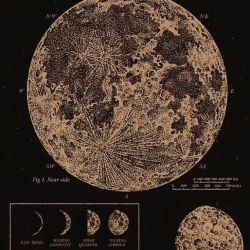 عکس موضوع پیج؟☆